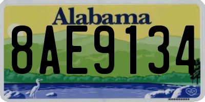 AL license plate 8AE9134
