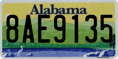 AL license plate 8AE9135
