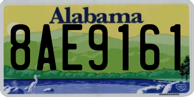 AL license plate 8AE9161
