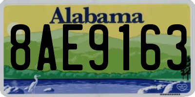 AL license plate 8AE9163