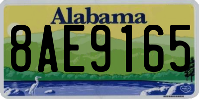 AL license plate 8AE9165