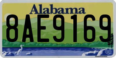 AL license plate 8AE9169