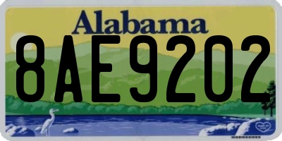AL license plate 8AE9202