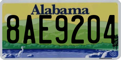 AL license plate 8AE9204