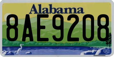 AL license plate 8AE9208