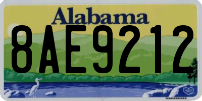AL license plate 8AE9212