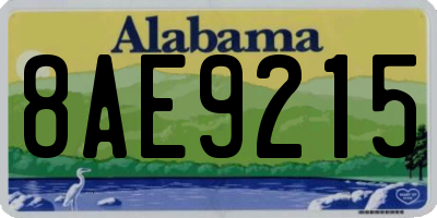 AL license plate 8AE9215