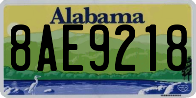 AL license plate 8AE9218