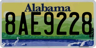 AL license plate 8AE9228