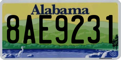 AL license plate 8AE9231