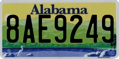 AL license plate 8AE9249