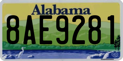 AL license plate 8AE9281