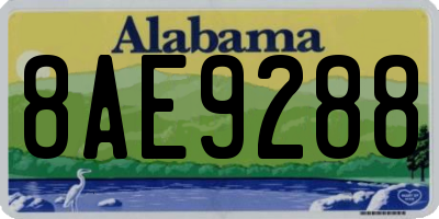 AL license plate 8AE9288