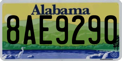 AL license plate 8AE9290