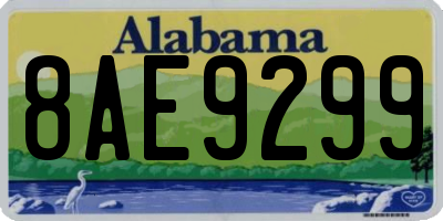 AL license plate 8AE9299