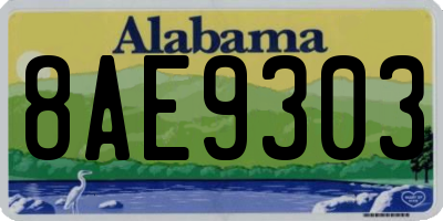 AL license plate 8AE9303