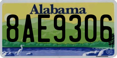 AL license plate 8AE9306