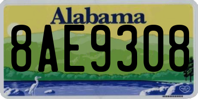AL license plate 8AE9308