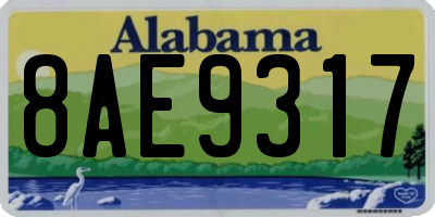 AL license plate 8AE9317