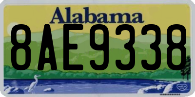 AL license plate 8AE9338