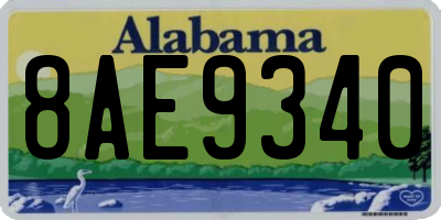 AL license plate 8AE9340