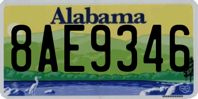 AL license plate 8AE9346