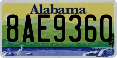 AL license plate 8AE9360
