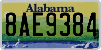 AL license plate 8AE9384