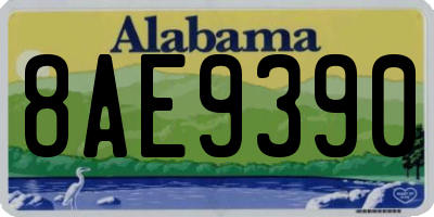 AL license plate 8AE9390