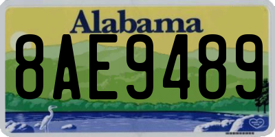 AL license plate 8AE9489