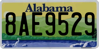AL license plate 8AE9529