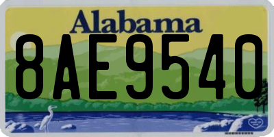 AL license plate 8AE9540