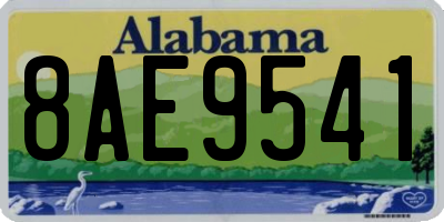 AL license plate 8AE9541