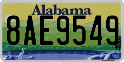 AL license plate 8AE9549