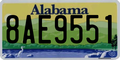 AL license plate 8AE9551