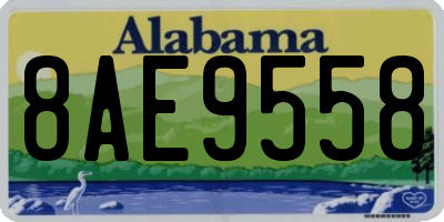 AL license plate 8AE9558