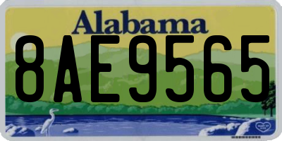AL license plate 8AE9565