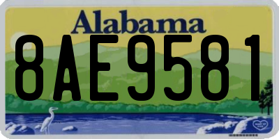 AL license plate 8AE9581