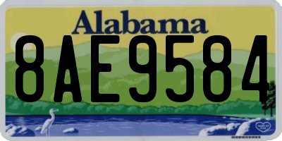 AL license plate 8AE9584