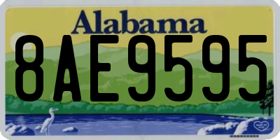 AL license plate 8AE9595