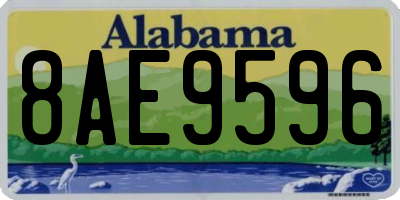 AL license plate 8AE9596