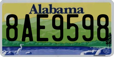 AL license plate 8AE9598