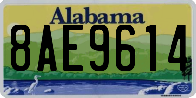 AL license plate 8AE9614