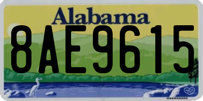 AL license plate 8AE9615