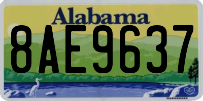 AL license plate 8AE9637
