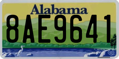 AL license plate 8AE9641