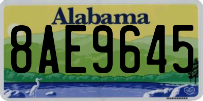 AL license plate 8AE9645