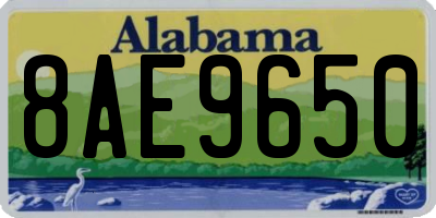 AL license plate 8AE9650