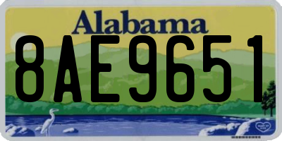 AL license plate 8AE9651