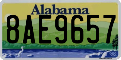 AL license plate 8AE9657